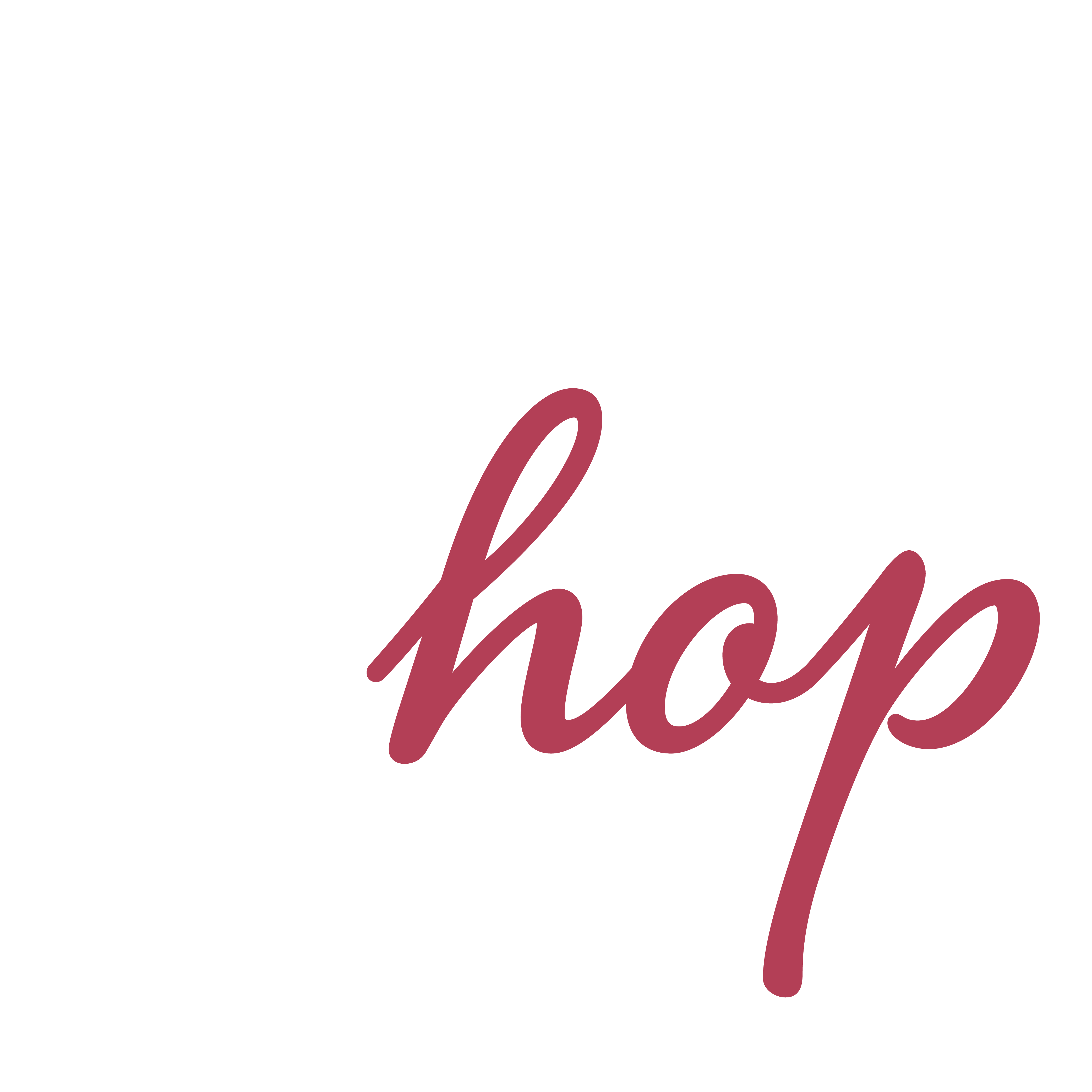 SocHop